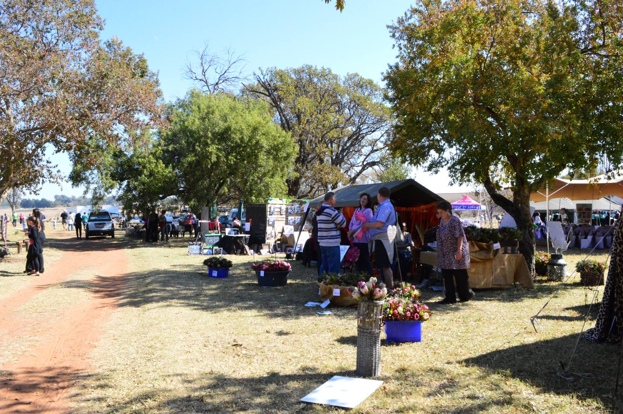 Mampoerfees stalletjies 1 Mampoerfees stalletjies 1