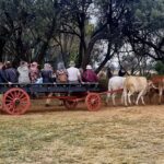 Mampoerfees 2026 - 1 Mampoerfees 2026 - 1